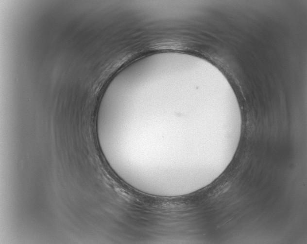 X0000057060529200510010110