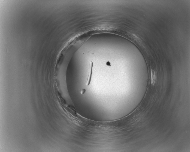 X0000057060531200510010110