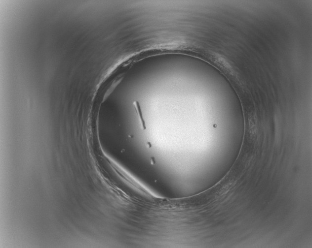 X0000057060532200510010110