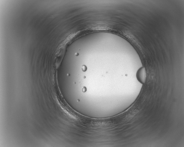 X0000057060533200510010110