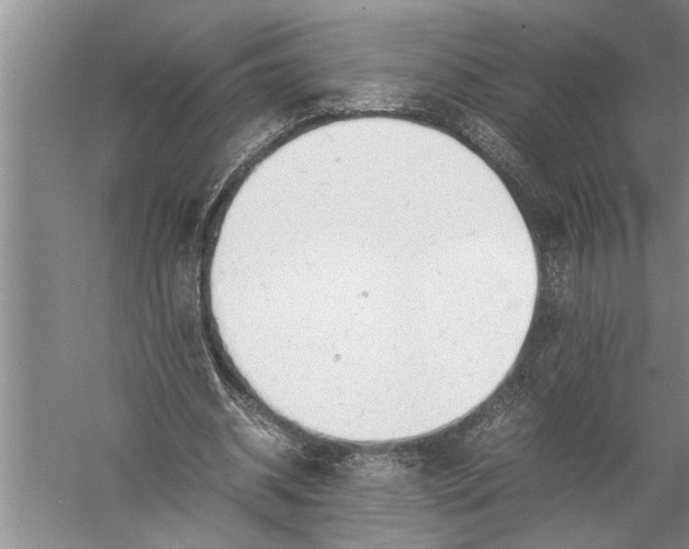 X0000057060534200510010110