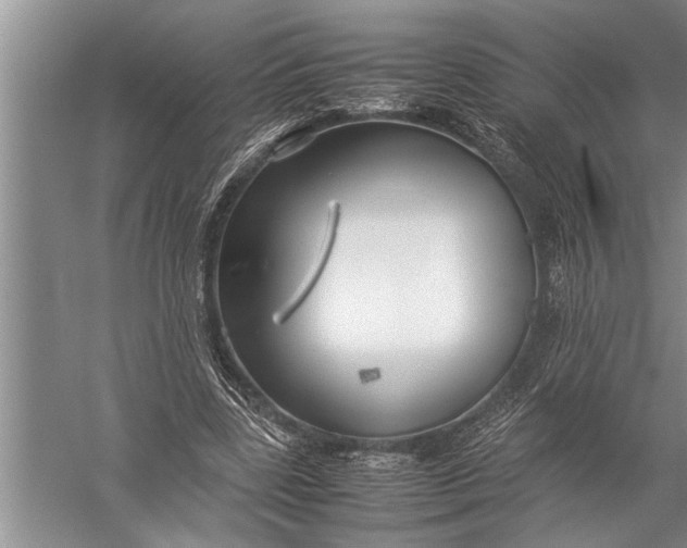 X0000057060539200510010110