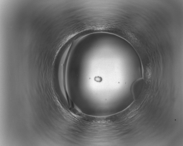 X0000057060540200510010110