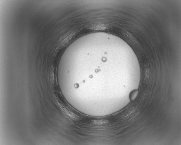 X0000057060541200510010110