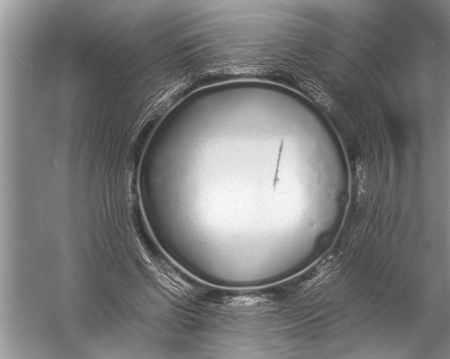 X0000057060542200510010110