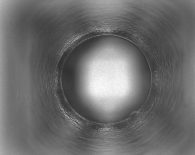 X0000057060544200510010110