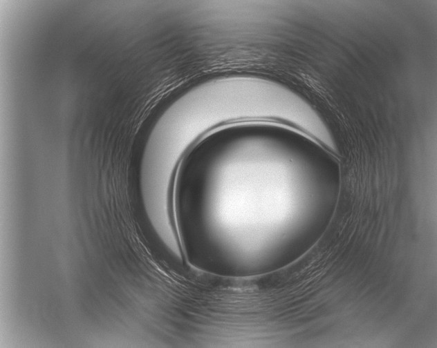 X0000057060548200510010110