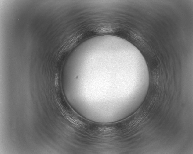 X0000057060549200510010110