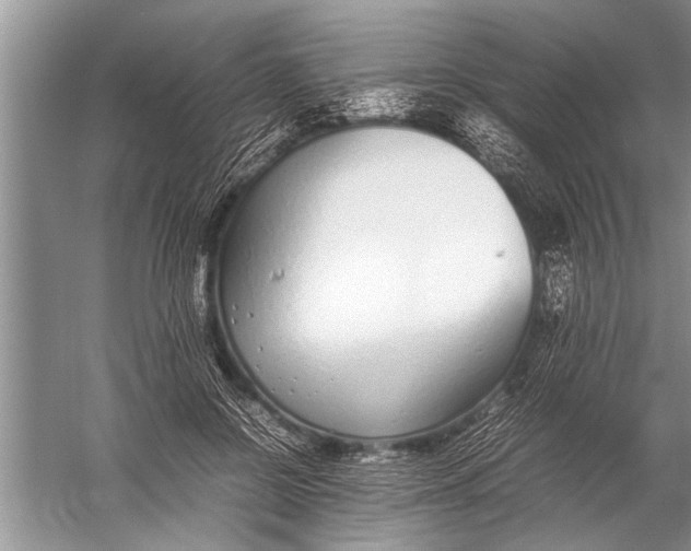 X0000057060550200510010110