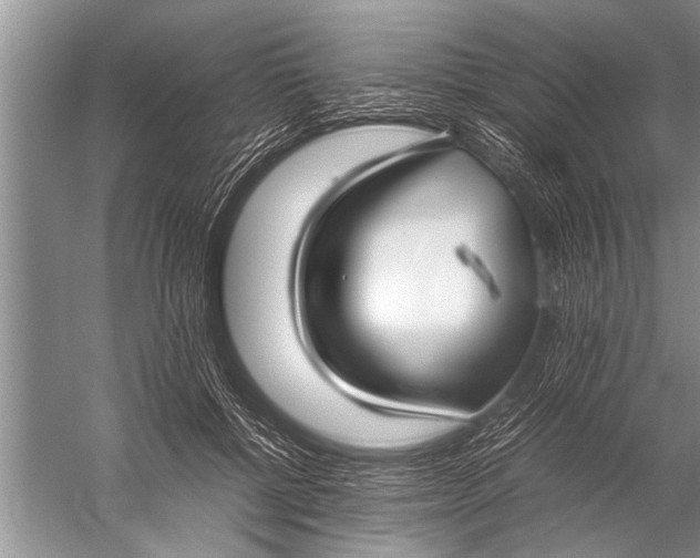 X0000057060552200510010110