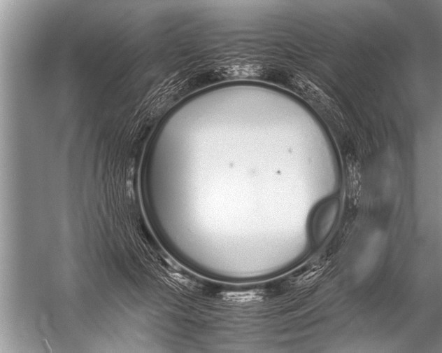 X0000057060553200510010110