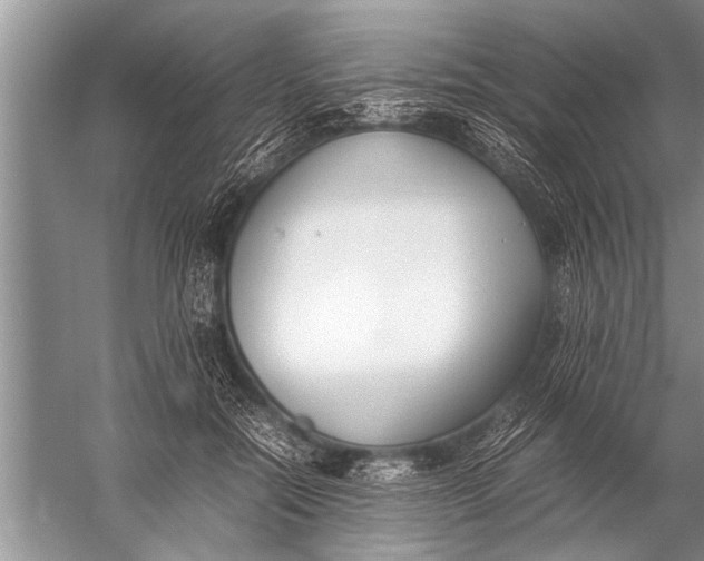 X0000057060554200510010110