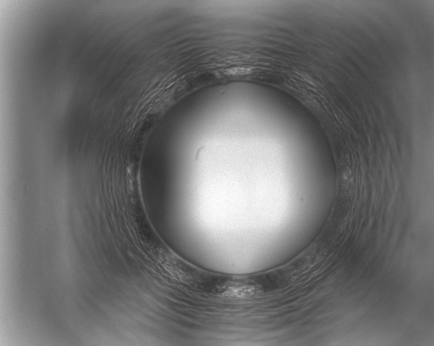 X0000057060555200510010110