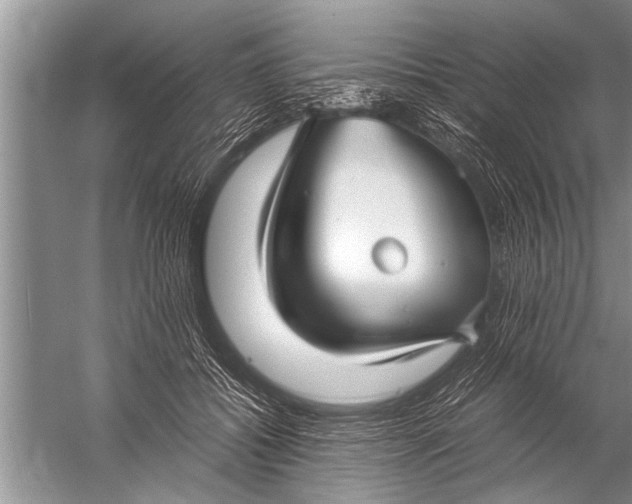 X0000057060556200510010110