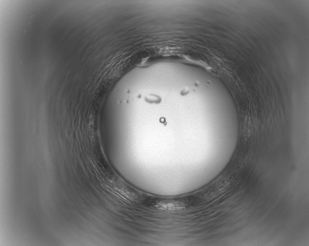 X0000057060557200510010110