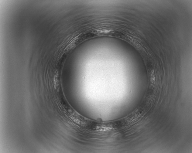 X0000057060559200510010110