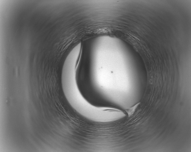 X0000057060560200510010110