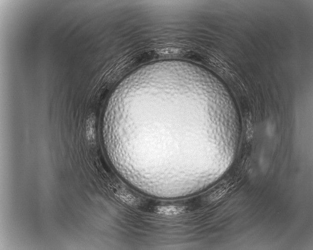 X0000057060561200510010110