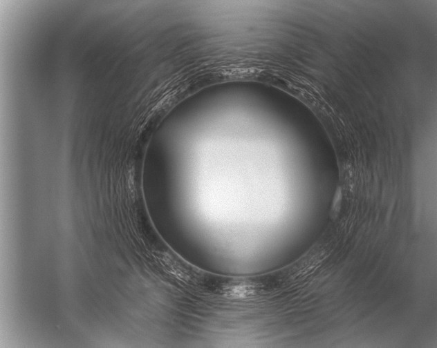 X0000057060564200510010110