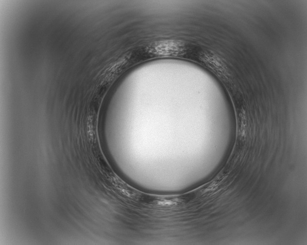 X0000057060569200510010110