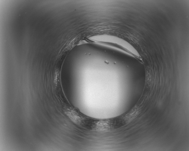 X0000057060574200510010110