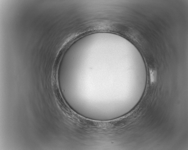 X0000057060579200510010109