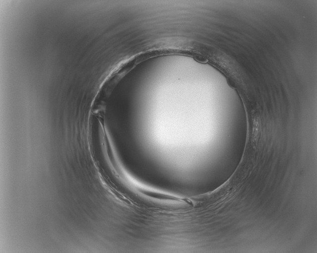 X0000057060580200510010109