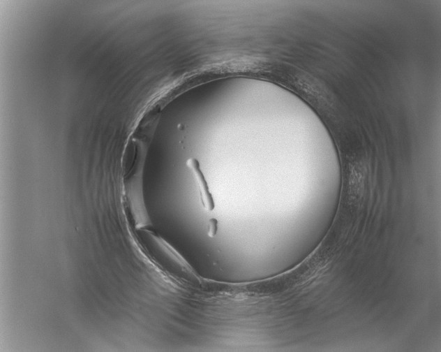 X0000057060582200510010109