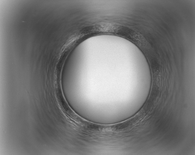 X0000057060587200510010109