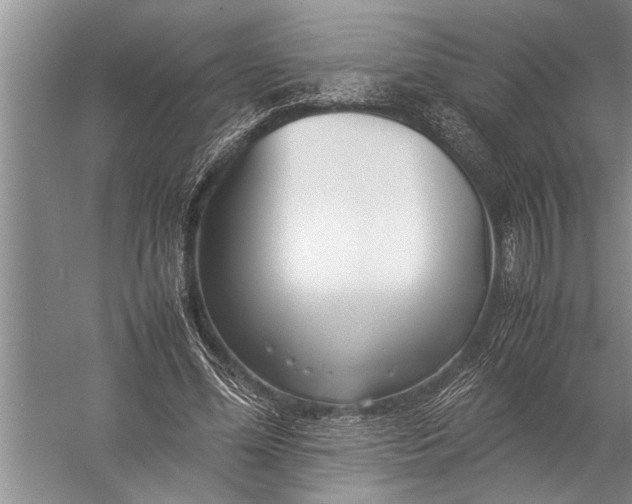 X0000057060588200510010109