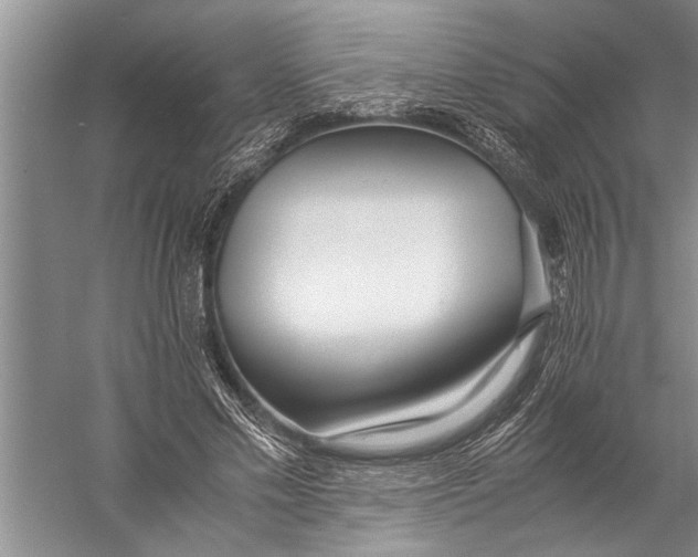 X0000057060589200510010109