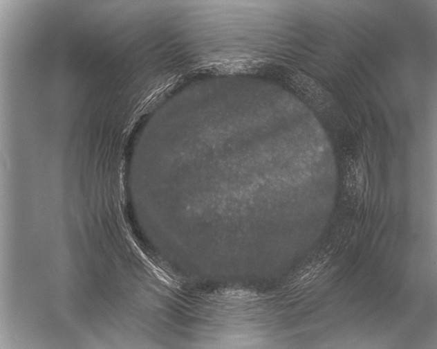 X0000057060590200510010109