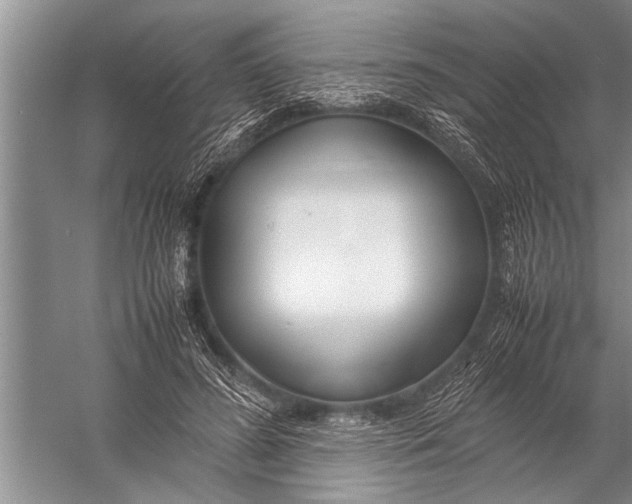 X0000057060596200510010109