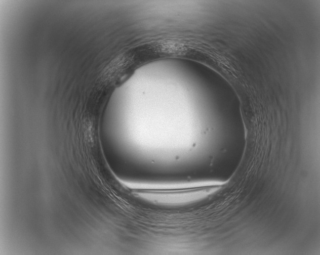 X0000057060597200510010109