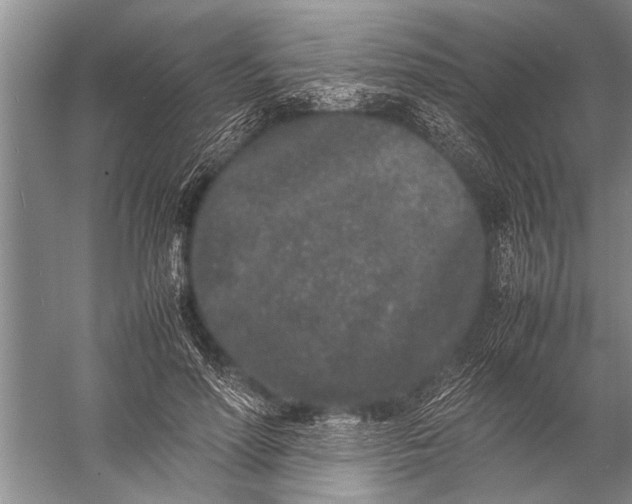 X0000057060598200510010109