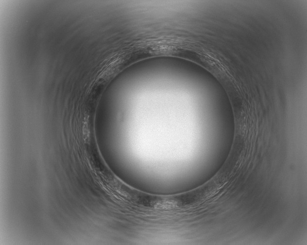 X0000057060599200510010109