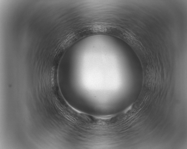 X0000057060600200510010109