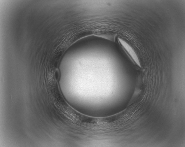 X0000057060601200510010109