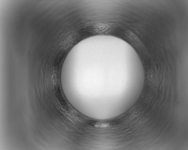 X0000057060602200510010109