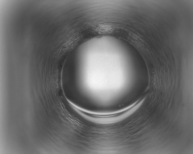 X0000057060604200510010109