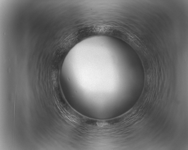 X0000057060605200510010109