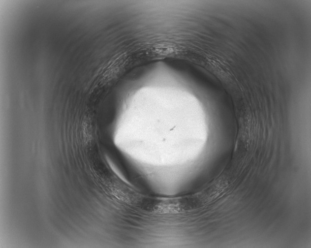 X0000057060606200510010109