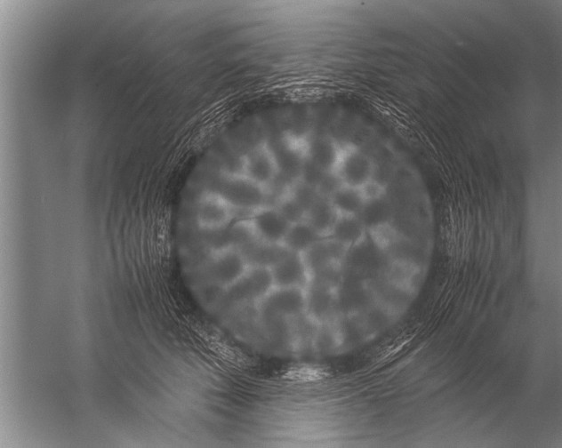 X0000057060610200510010109