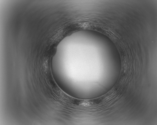 X0000057060611200510010109