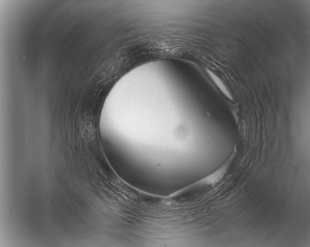 X0000057060613200510010109