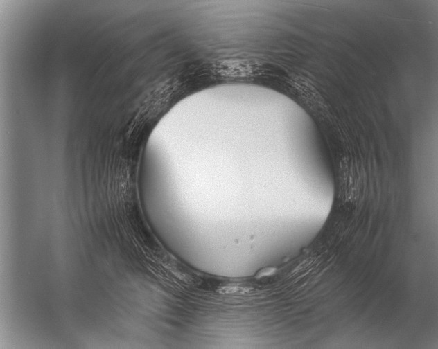 X0000057060614200510010109