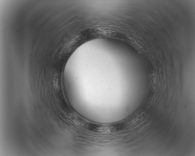 X0000057060615200510010109