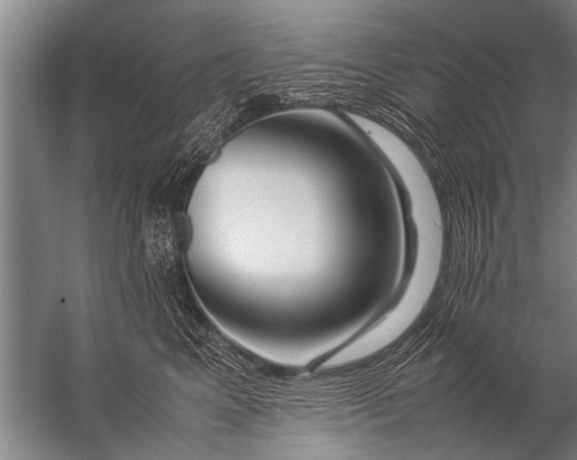 X0000057060617200510010109