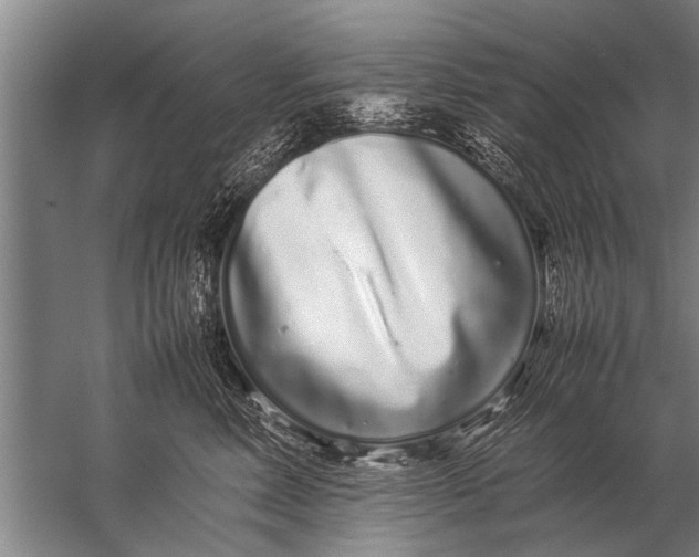 X0000057060618200510010109