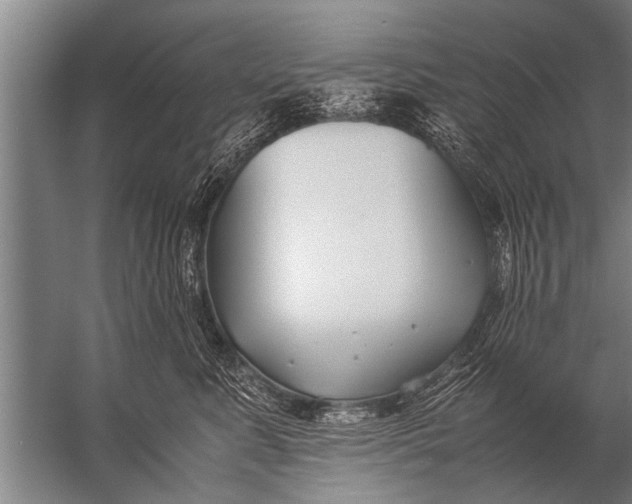 X0000057060619200510010109